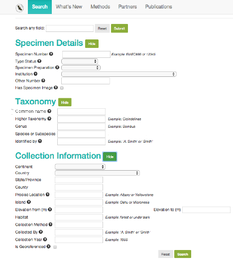 This is the search form for the redesigned CalBug user interface, which contains three sections for Specimen Details, Taxonomy, and Collection Information. Specimen Details has fields for locating a specific specimen description or image. Taxonomy has fields for locating specimens according to their species or genus. Collection Information has fields for locating specimens according to where and when they were collected.