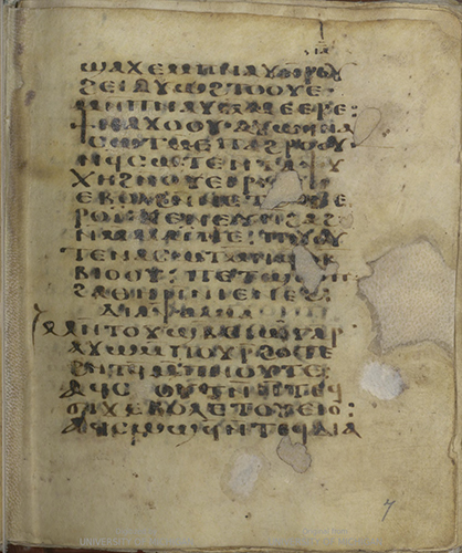manuscript image