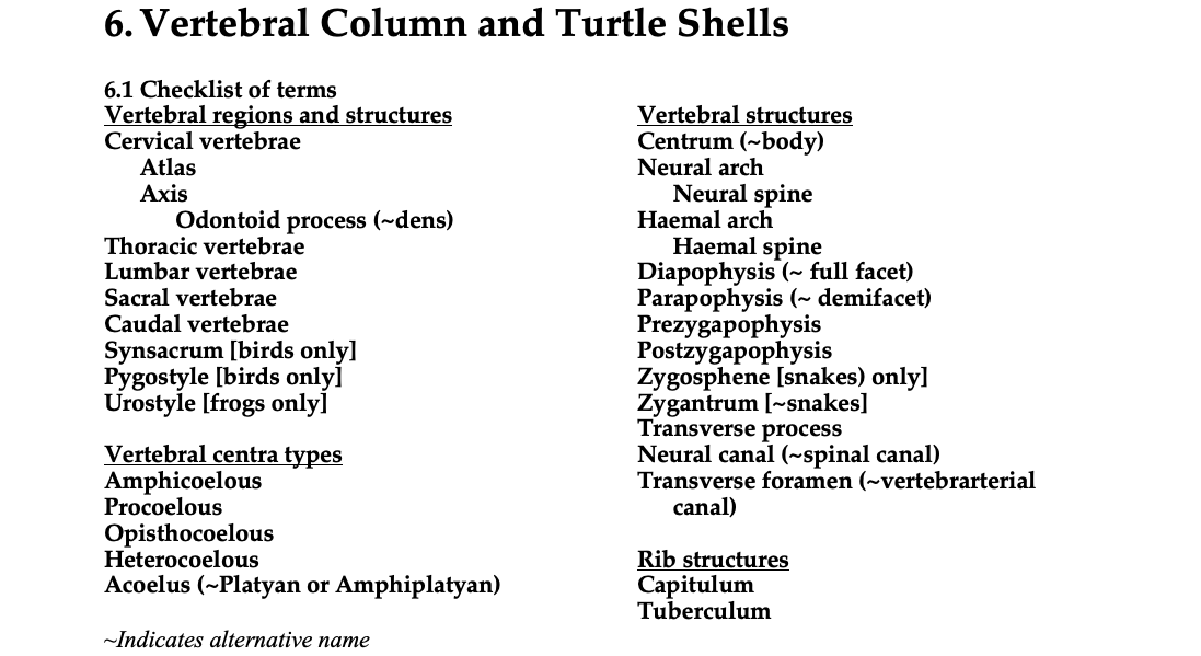 Georgia Sea Turtle Center - What makes up a turtle's shell? 🐢 The top  layer is Keratin, the same material as our hair and nails. Underneath are  the spine (in blue) and