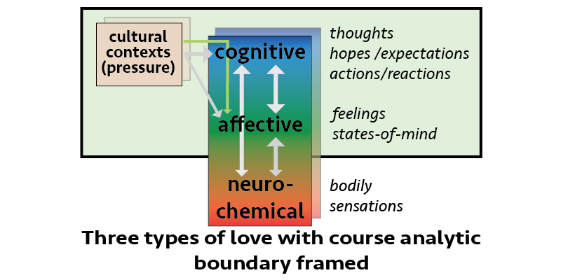 A box with, inside, cognitive at the top, affective in the middle, and neurochemical at the bottom. Outside the box the lael cultural contexts is associated via arrows with the cognitive and affective terms.