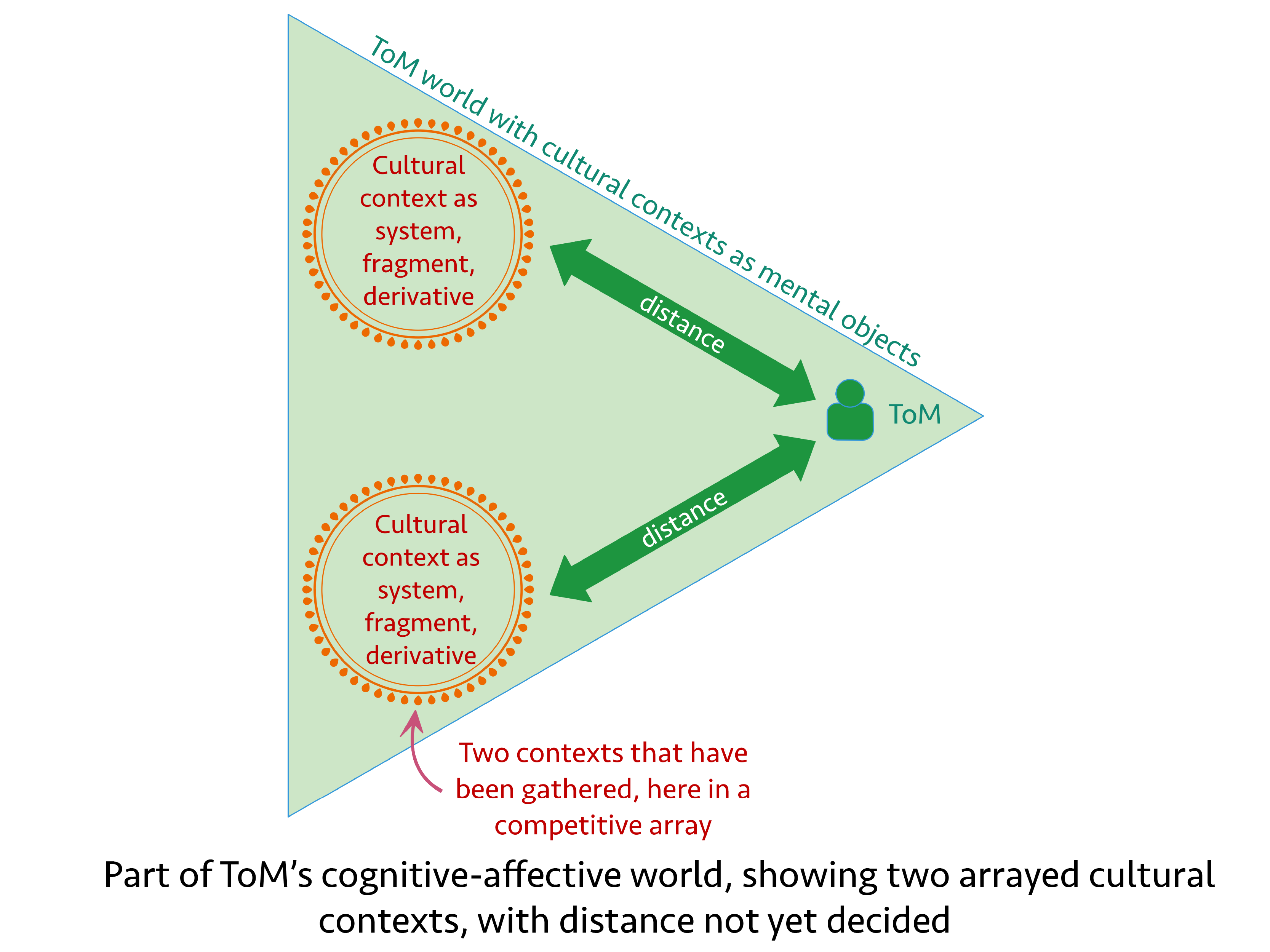 ToM-contexts-ToM