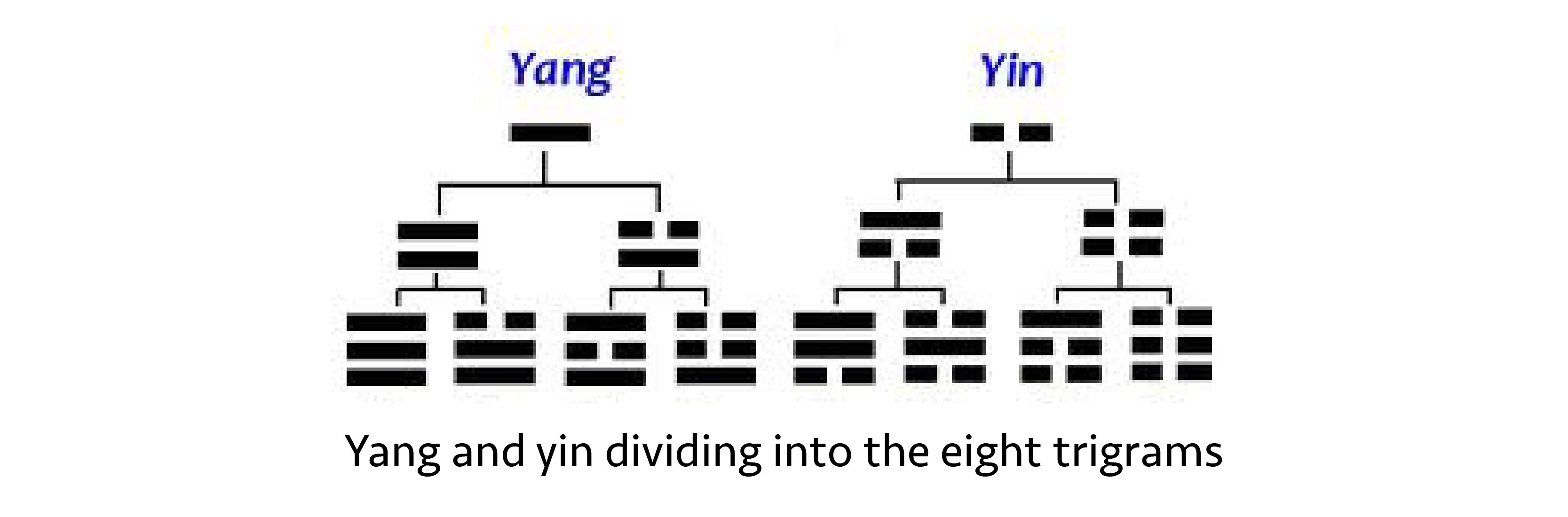 eight-trigrams-tree